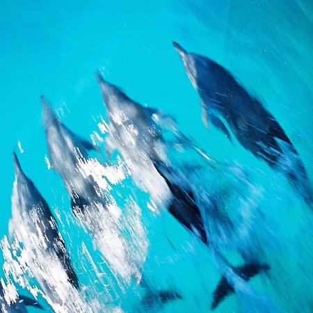 Nova Pousada Golfinho Hotel Fernando de Noronha Bagian luar foto