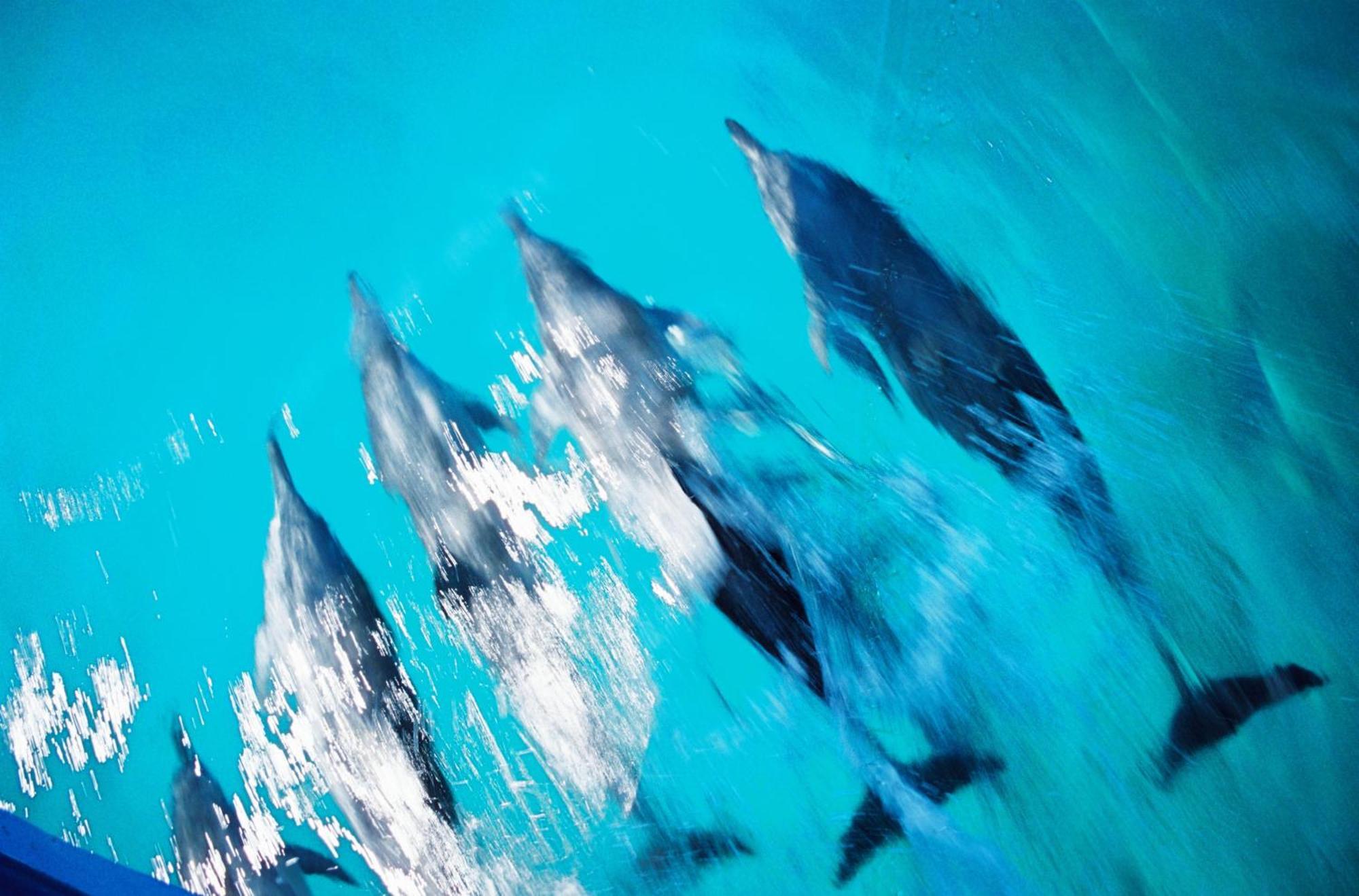 Nova Pousada Golfinho Hotel Fernando de Noronha Bagian luar foto